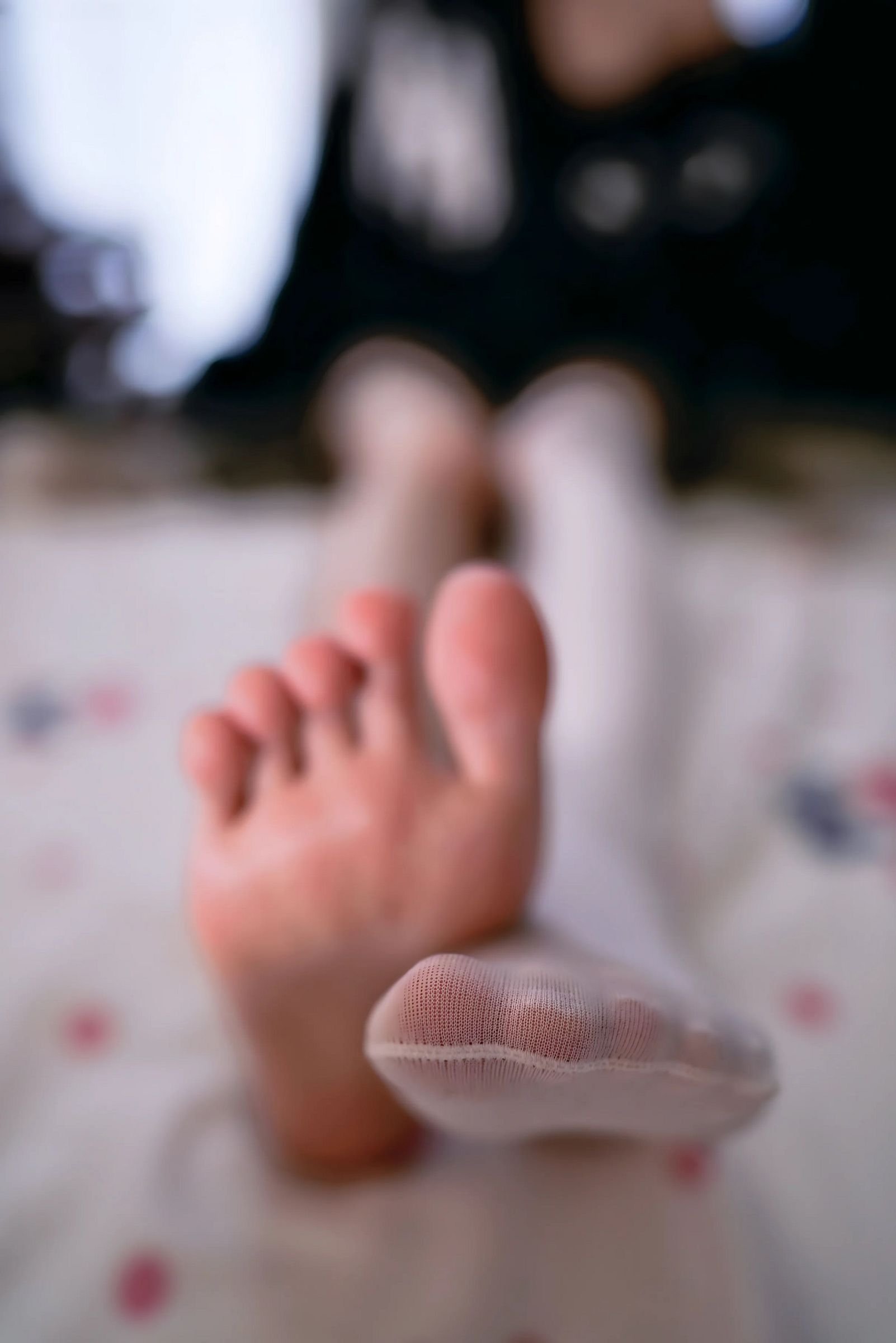 [桜桃喵] NO.224 缅因猫猫-电鸽