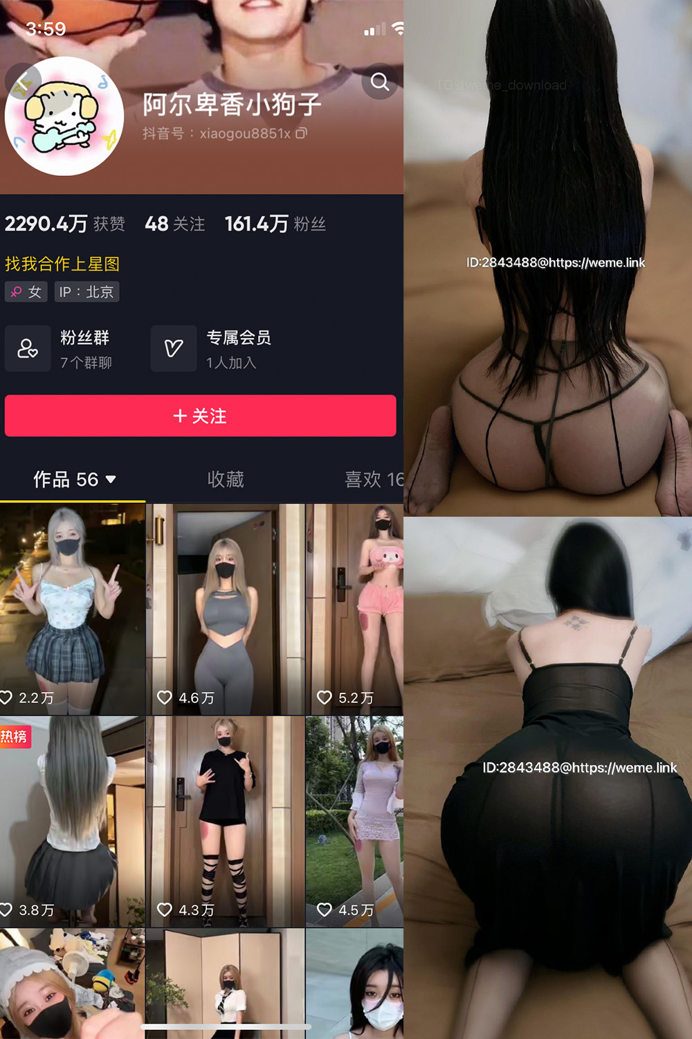图片[1]-抖音 阿尔卑香小狗子 微密圈  NO.057期  36P1V 最新至 2024.9.3-慕色阁