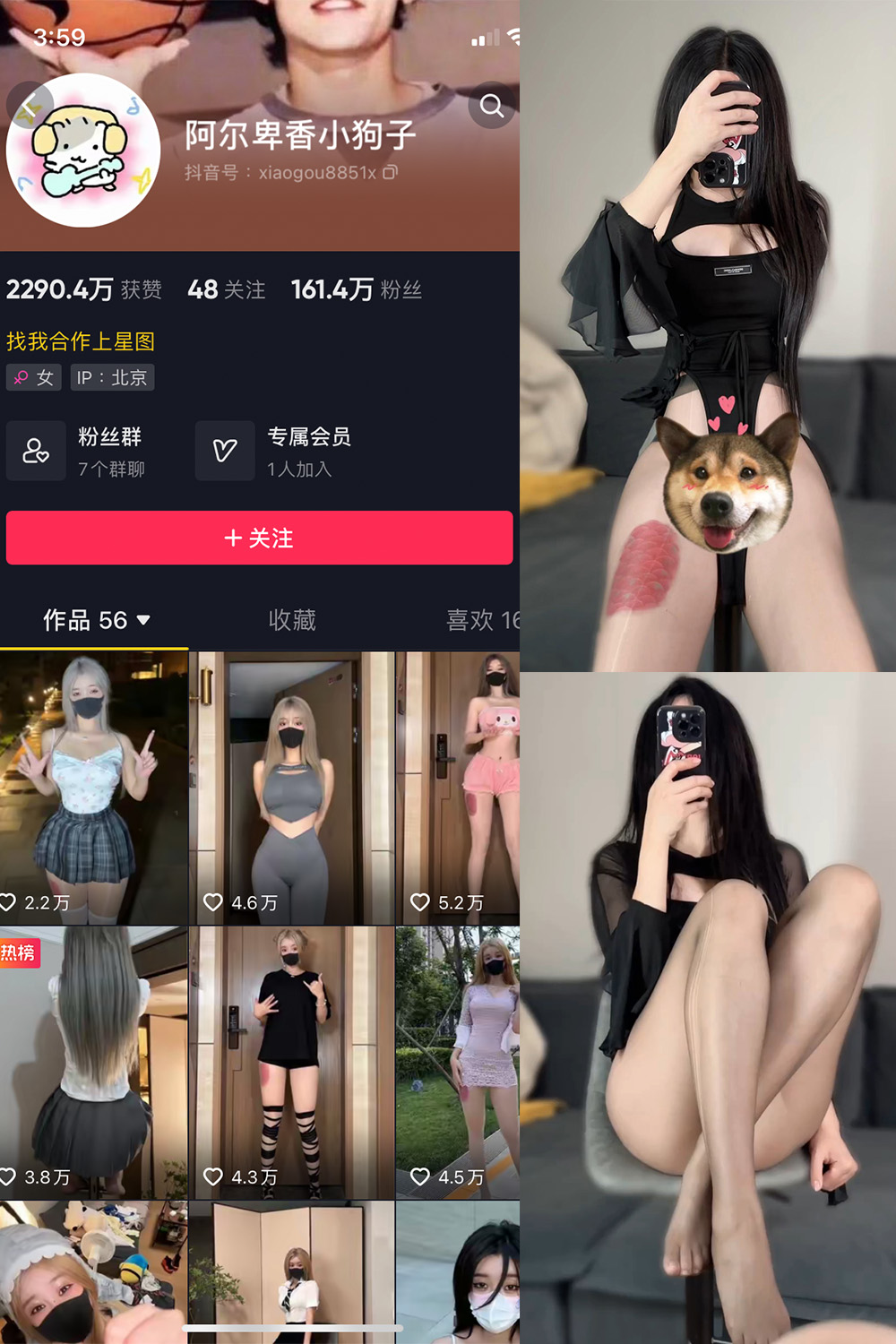图片[1]-抖音 阿尔卑香小狗子 微密圈  NO.026期  8P1V 最新至 2023.9.27-慕色阁