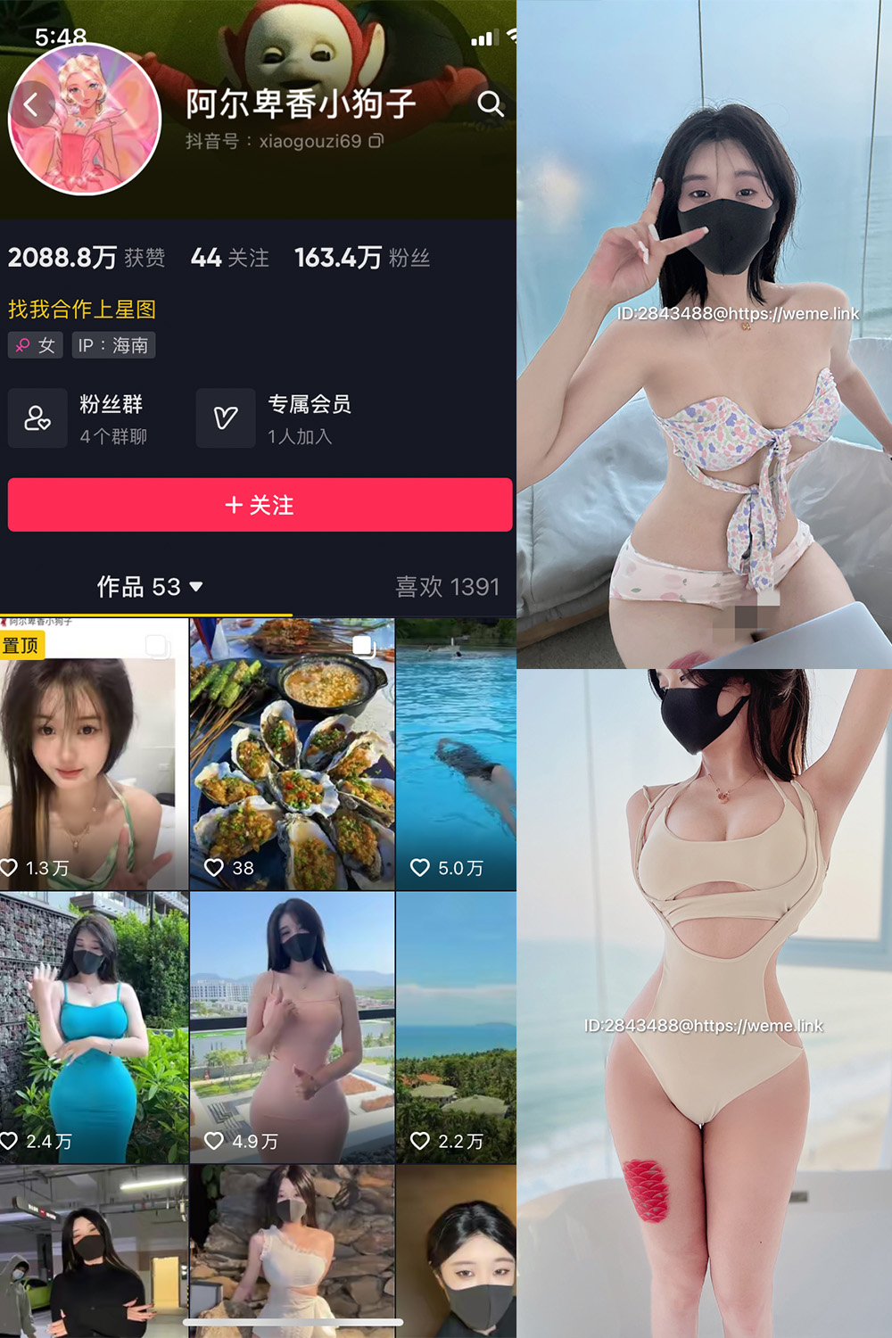 图片[1]-抖音 阿尔卑香小狗子 微密圈  NO.003期  39P3V 最新至 2023.5.31-慕色阁