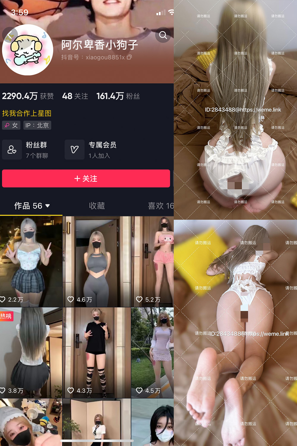 图片[1]-抖音 阿尔卑香小狗子 微密圈  NO.054期  16P1V 最新至 2024.8.9-慕色阁