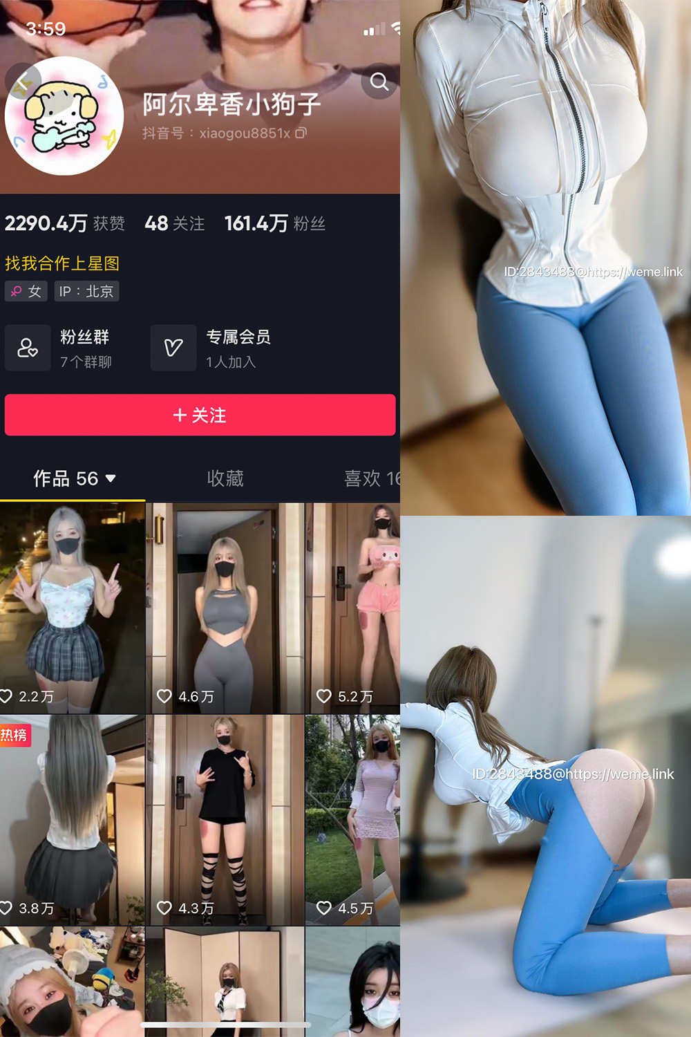图片[1]-抖音 阿尔卑香小狗子 微密圈  NO.017期  34P1V-慕色阁