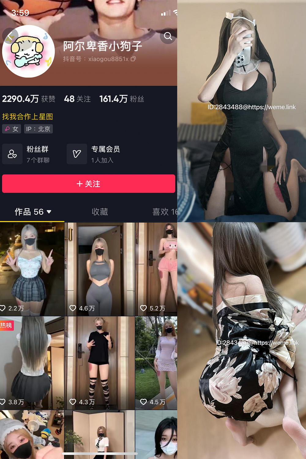 图片[1]-抖音 阿尔卑香小狗子 微密圈  NO.014期  54P2V-慕色阁