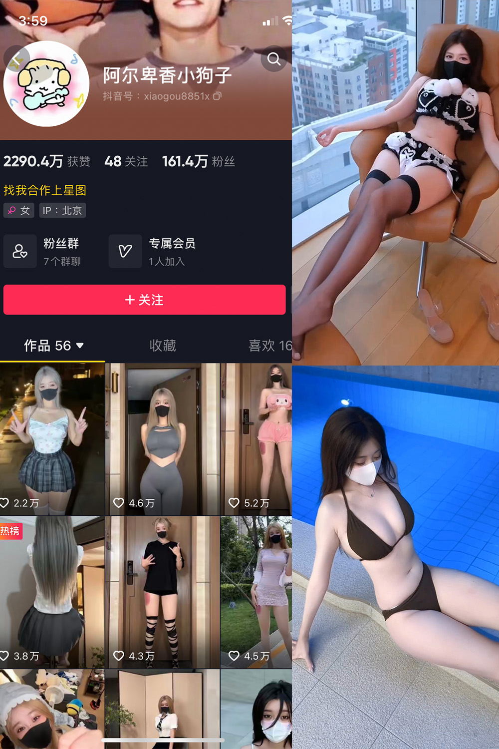 图片[1]-抖音 阿尔卑香小狗子 微密圈  NO.062期  8V 最新至 2025.5.22-慕色阁