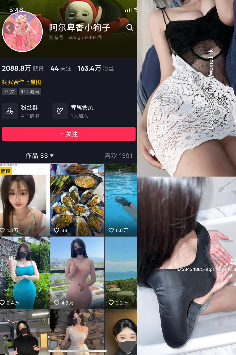 图片[1]-抖音 阿尔卑香小狗子 微密圈  NO.011期  36P1V 最新至 2023.7.6-慕色阁