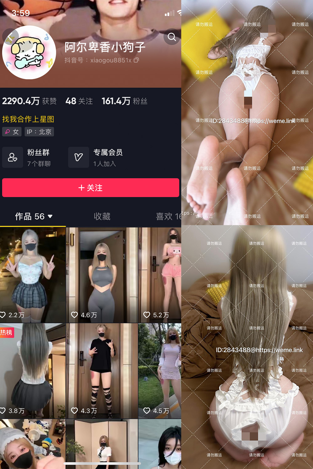 图片[1]-抖音 阿尔卑香小狗子 微密圈  NO.018期  16P1V 最新至 2023.8.14-慕色阁