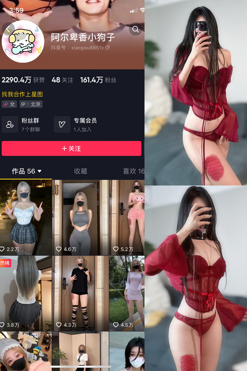 图片[1]-抖音 阿尔卑香小狗子 微密圈  NO.056期  10P2V 最新至 2024.8.25-慕色阁