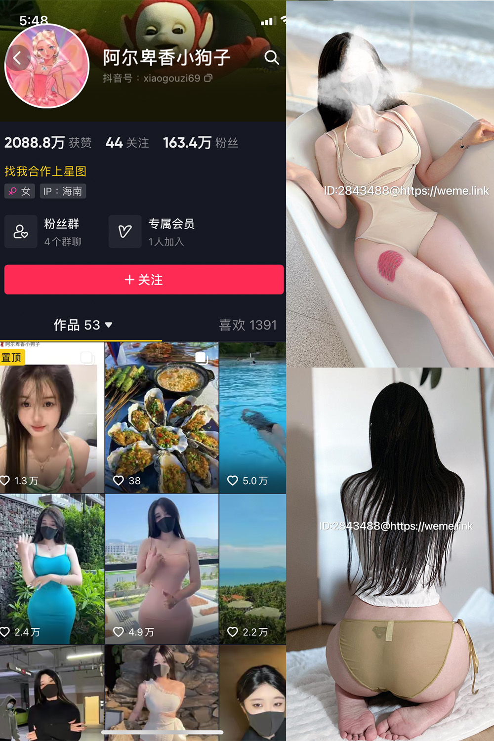 图片[1]-抖音 阿尔卑香小狗子 微密圈  NO.013期  46P 最新至 2023.7.31-慕色阁