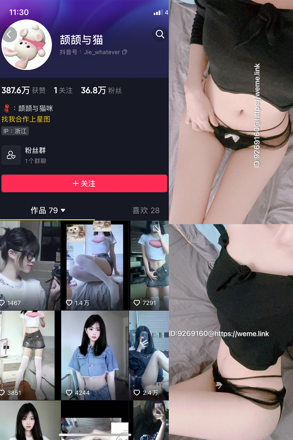 图片[1]-抖音 颉颉与猫 微密圈  NO.004期  9P14V 最新至 2023.10.14-慕色阁