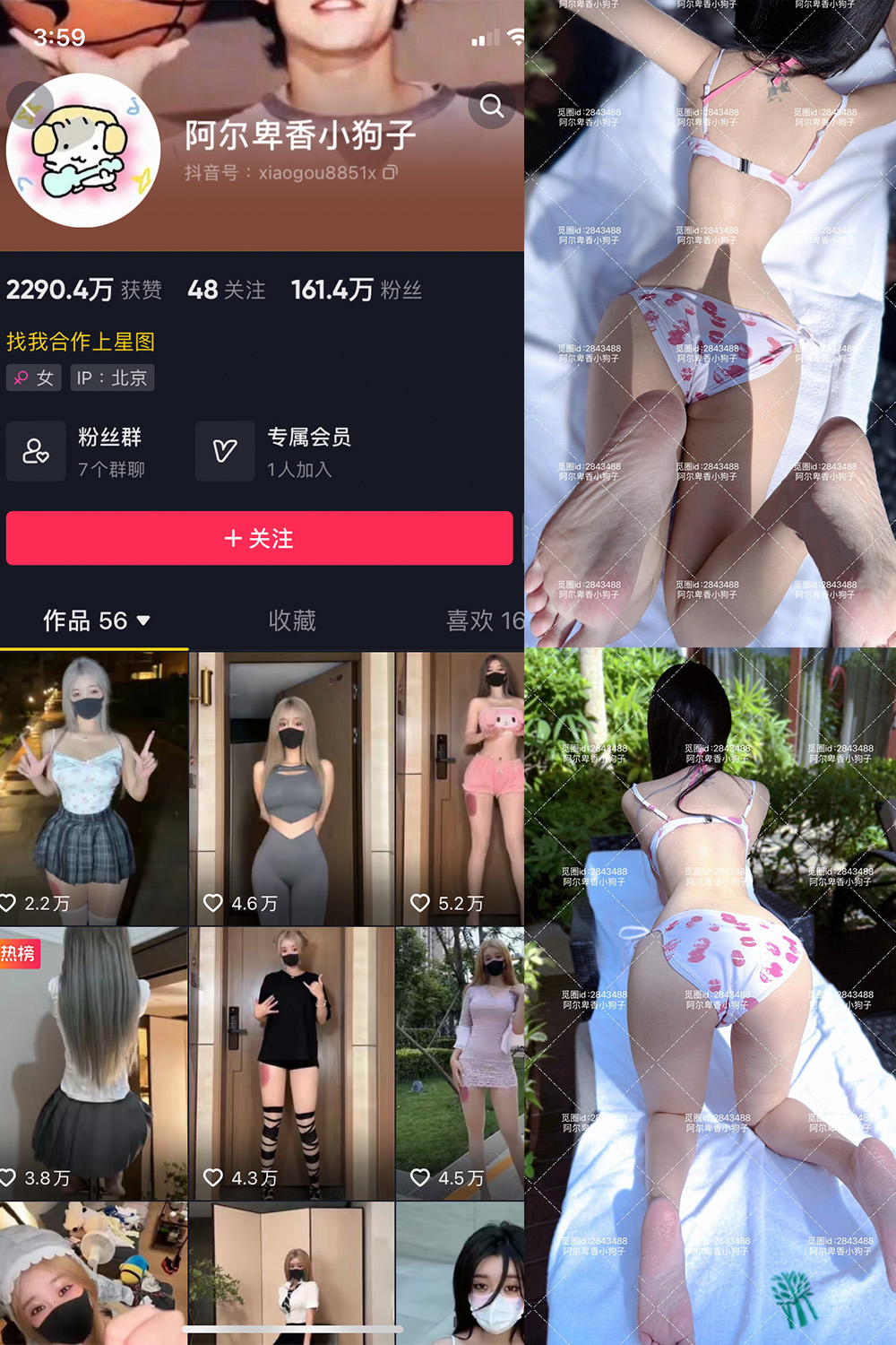 图片[1]-抖音 阿尔卑香小狗子 微密圈  NO.060期  17P 最新至 2025.2.8-慕色阁