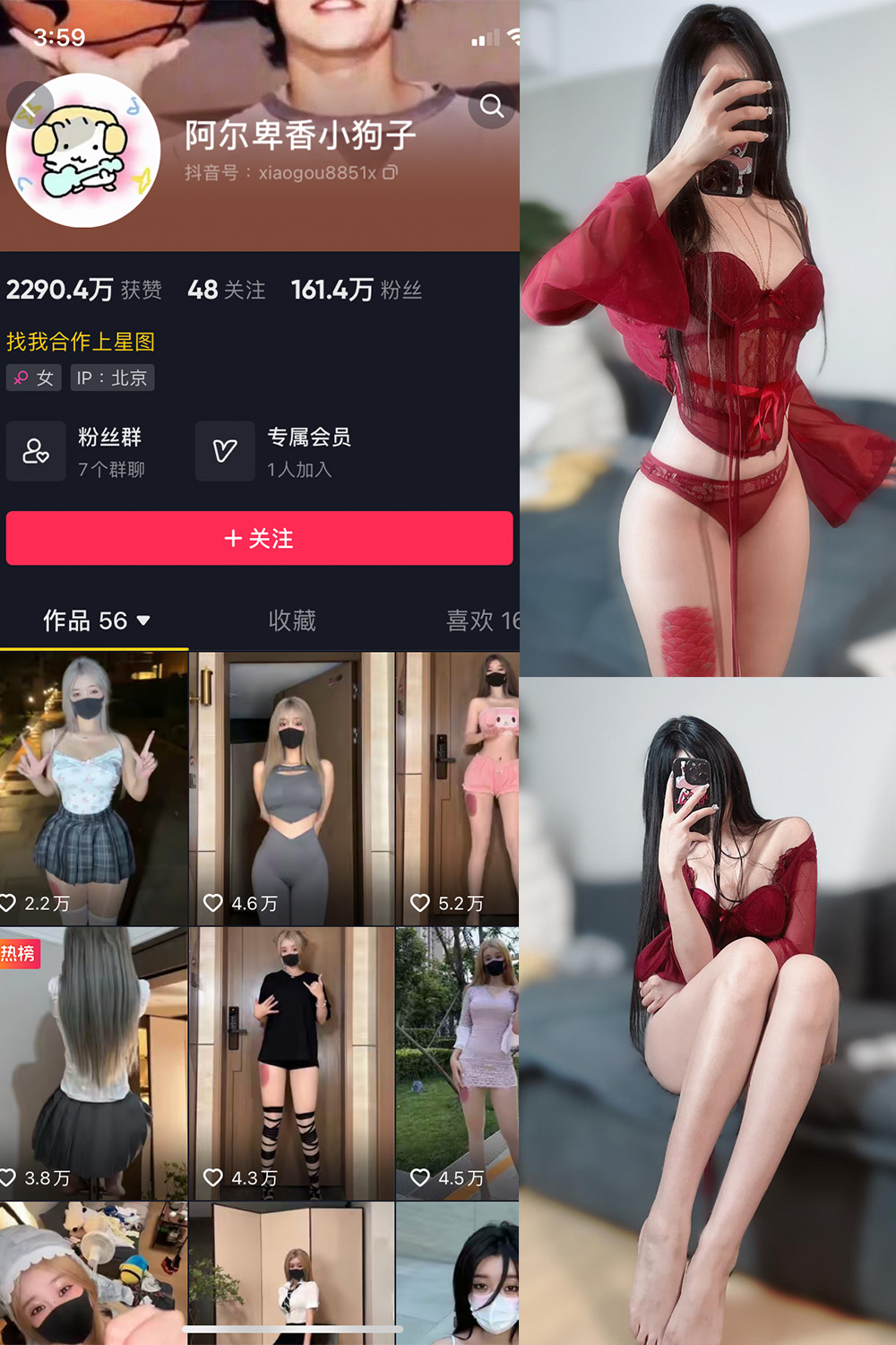 图片[1]-抖音 阿尔卑香小狗子 微密圈  NO.025期  10P2V 最新至 2023.9.20-慕色阁