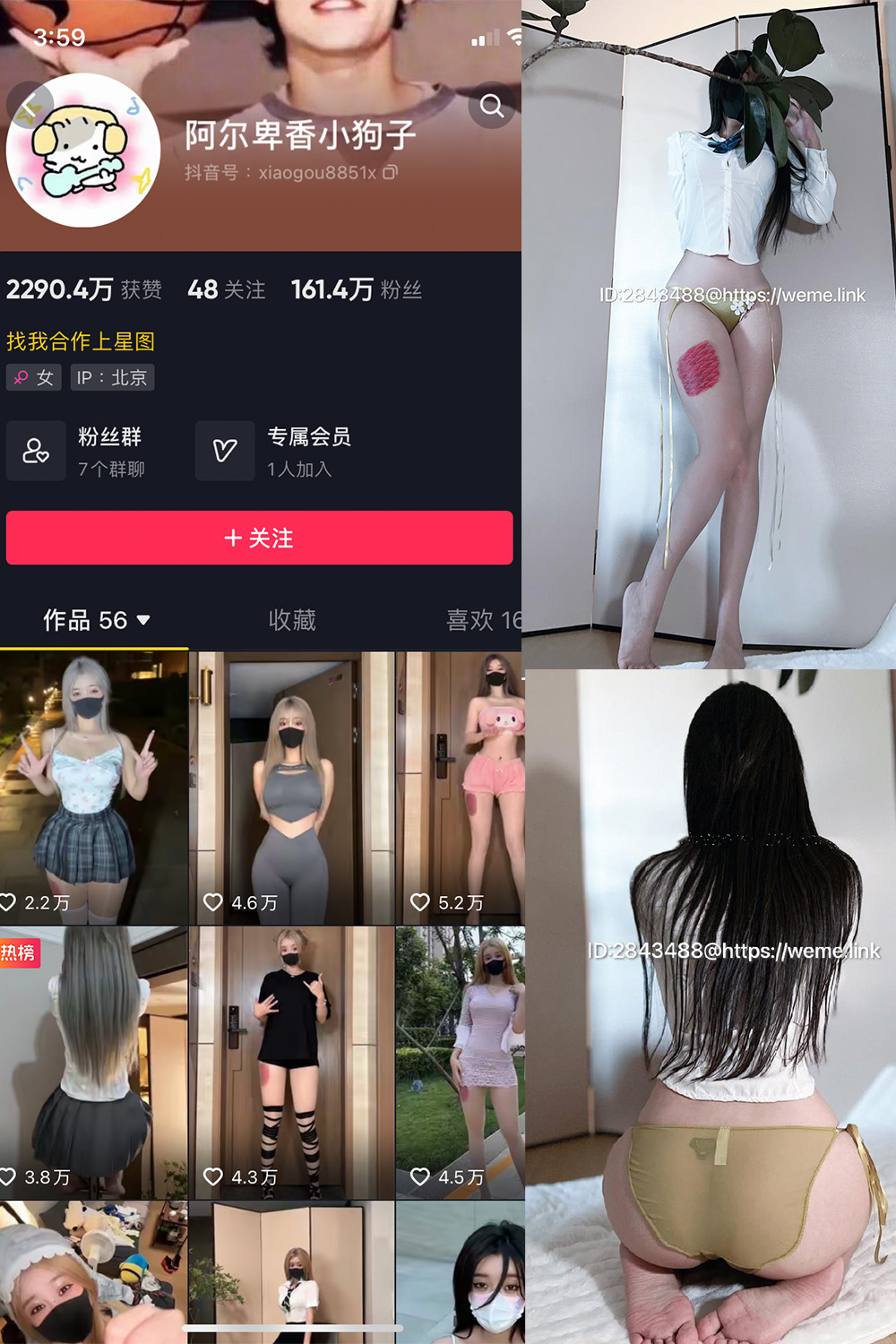 图片[1]-抖音 阿尔卑香小狗子 微密圈  NO.047期  39P 最新至 2024.6.10-慕色阁