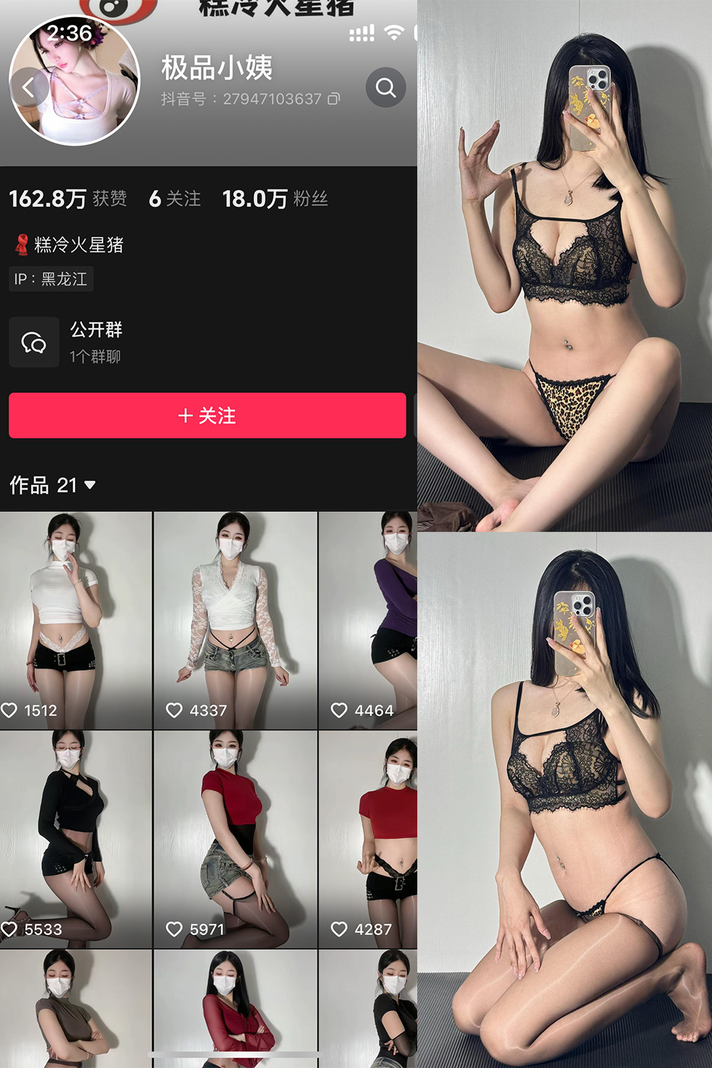 抖音 极品小姨 微密圈  NO.011期 【65P】-秀人网