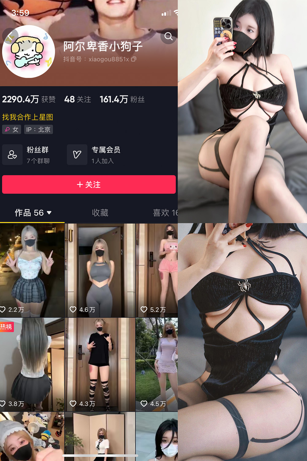 图片[1]-抖音 阿尔卑香小狗子 微密圈  NO.046期  14P1V 最新至 2024.6.9-慕色阁